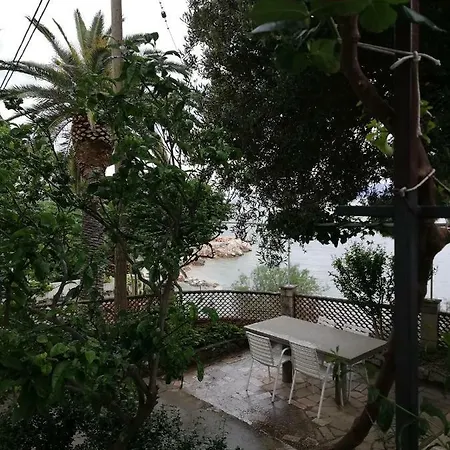 Apartman Nova