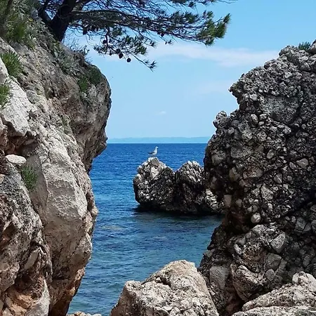Nova Živogošće