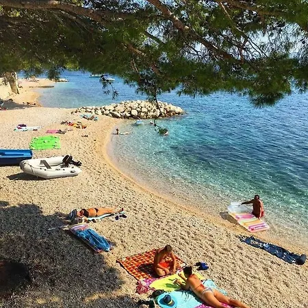 Nova * Živogošće
